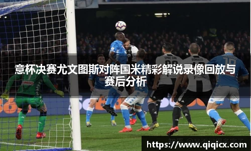 球速体育平台